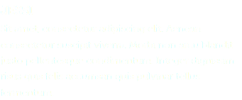 JESSI Sit amet, consectetur adipiscing elit. Aenean consectetur suscipit viverra. Morbi non arcu blandit justo pellentesque condimentum. Integer dignissim risus quis felis accumsan quis pulvinar tellus fermentum.