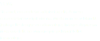 TOM Sit amet, consectetur adipiscing elit. Aenean consectetur suscipit viverra. Morbi non arcu blandit justo pellentesque condimentum. Integer dignissim risus quis felis accumsan quis pulvinar tellus fermentum.