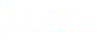 THORSTEN Sit amet, consectetur adipiscing elit. Aenean consectetur suscipit viverra. Morbi non arcu blandit justo pellentesque condimentum. Integer dignissim risus quis felis accumsan quis pulvinar tellus fermentum.